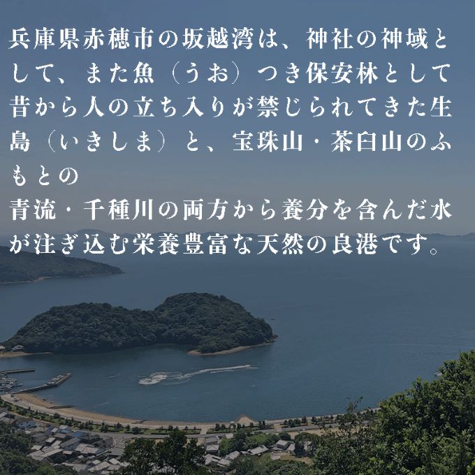 59070256_03_web.jpg