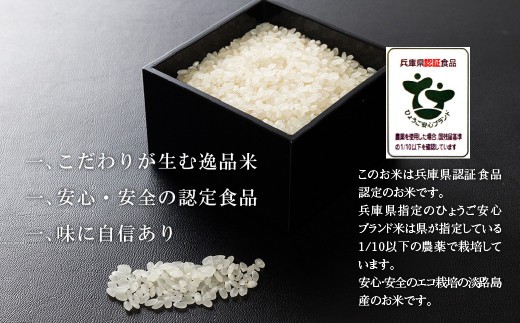 兵庫県淡路市のふるさと納税 野添農園のコシヒカリ7ｋｇ「ひょうご安心ブランド」　　[こしひかり 精米 コシヒカリ 白米 コシヒカリ 米 コシヒカリ]