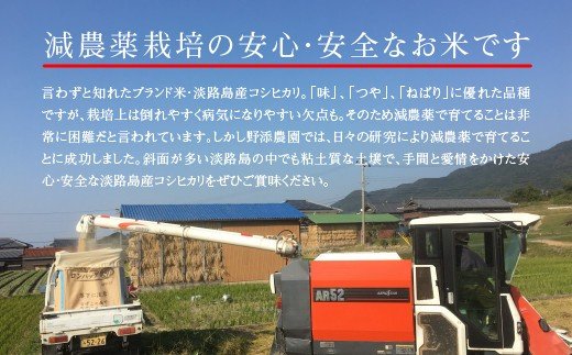 兵庫県淡路市のふるさと納税 野添農園のコシヒカリ7ｋｇ「ひょうご安心ブランド」　　[こしひかり 精米 コシヒカリ 白米 コシヒカリ 米 コシヒカリ]