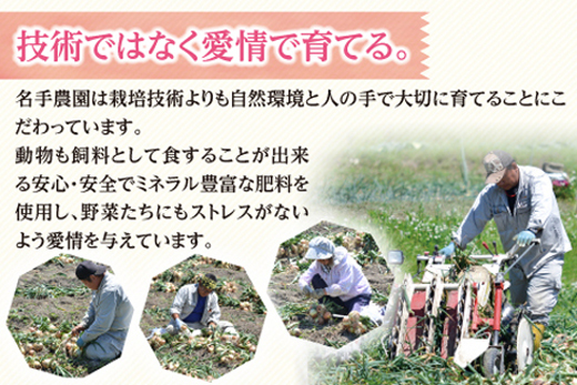【定期便】名手農園の淡路島特産玉ねぎ10kgの12ヶ月コース