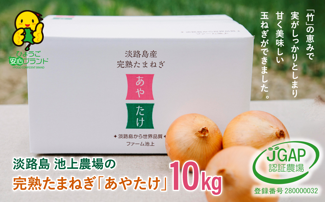 淡路島 池上農場の完熟たまねぎ「あやたけ」10kg（兵庫県淡路市 ...