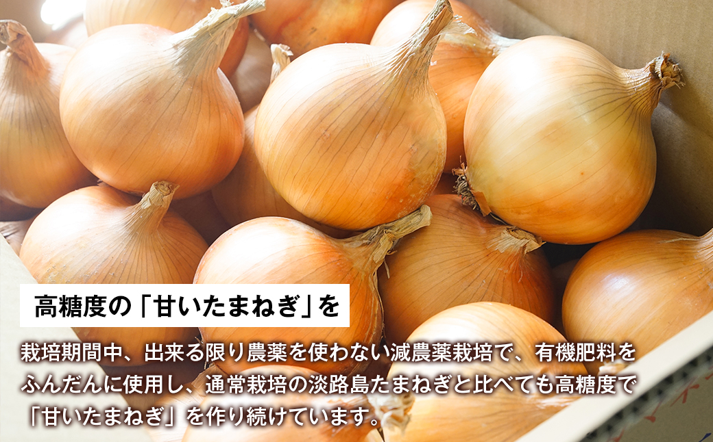 淡路島たまねぎ（10キロ） / 兵庫県淡路市 | セゾンのふるさと納税