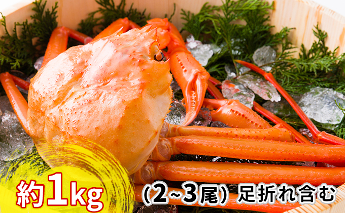 [おすすめ]紅ズワイガニ約1kg(2〜3尾)[棚辺水産]