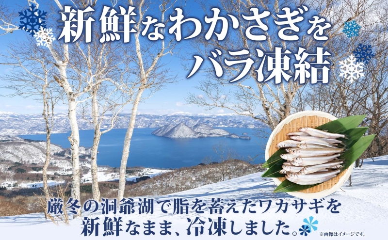 北海道洞爺湖町のふるさと納税 洞爺湖産黄金のわかさぎ 22尾×4P