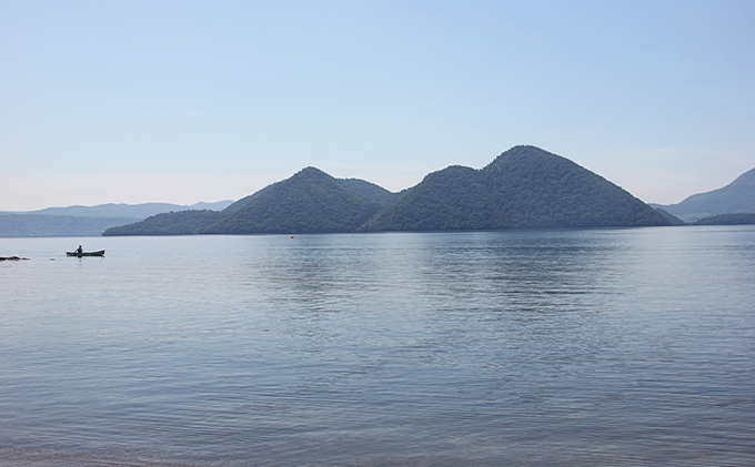 北海道洞爺湖町のふるさと納税 洞爺湖産黄金のわかさぎ 22尾×4P