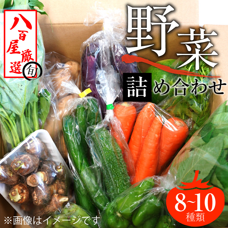 ちさと様の野菜詰め合わせ100サイズ 2セット 野菜セット 旬の野菜詰め合わせ 13種以上 和歌山産中心 送料無料