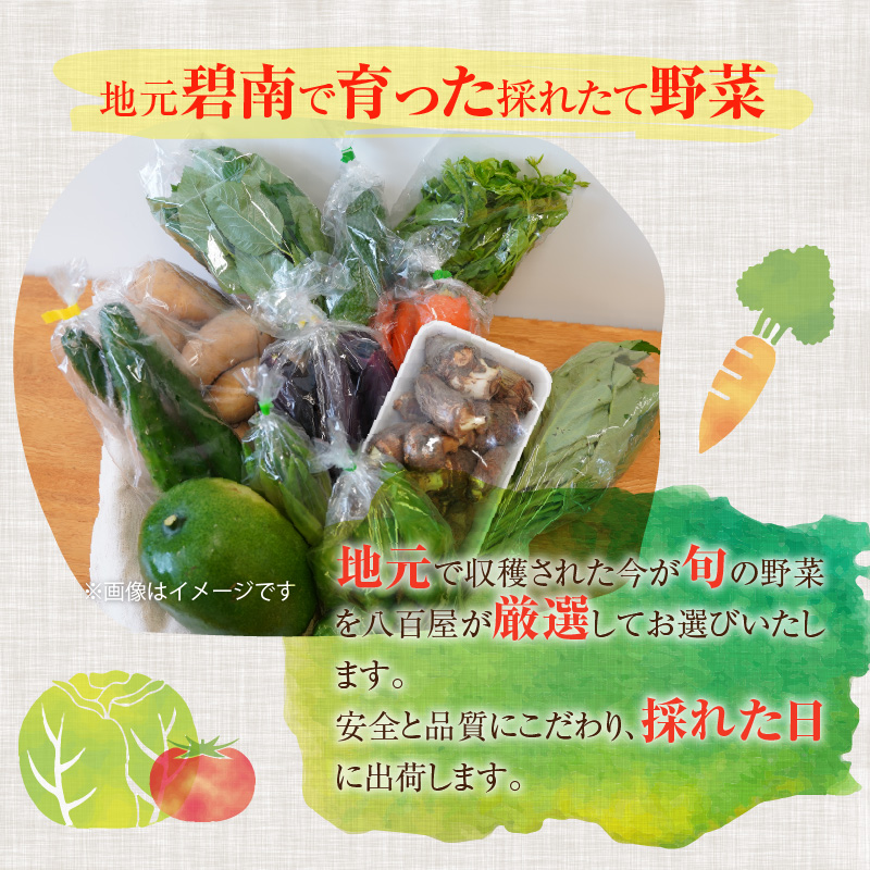 目利きのプロ 八百屋厳選 野菜詰め合わせセット（8～10種類お