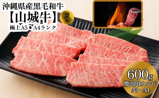 【沖縄県うるま市】A5・A4ランク 沖縄県産黒毛和牛《山城牛》焼肉用カルビ600g