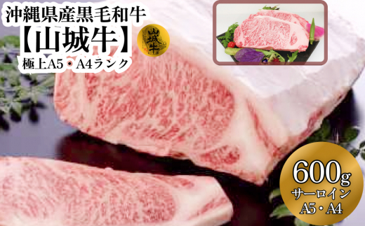 yꌧ܎szA5EA4N@ꌧYјasR鋍tT[C600g