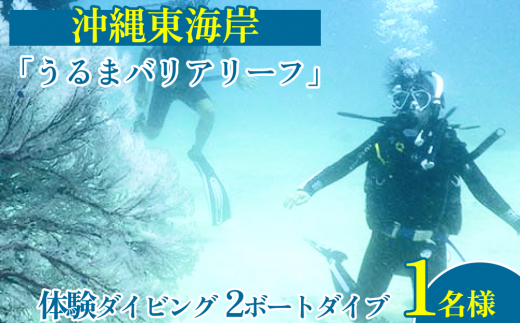 【沖縄県うるま市】沖縄東海岸「うるまバリアリーフ」で体験ダイビング (1名様)