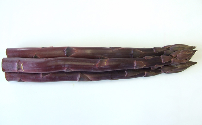 【香川県丸亀市】アスパラガス 超貴重 紫アスパラガス 約800g 丸亀産 アスパラ 希少 幻 野菜 旬 旬の野菜 季節の野菜 産地直送 香川 香川県 丸亀 丸亀市 冷蔵 冷蔵配送 先行 予約 先行予約 2026 2026年 3月以降発送開始