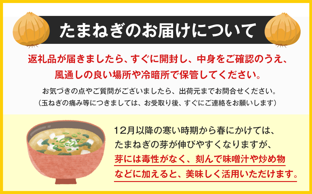 定期便】名手農園の淡路島特産玉ねぎ10kgの12ヶ月コース（兵庫県淡路市