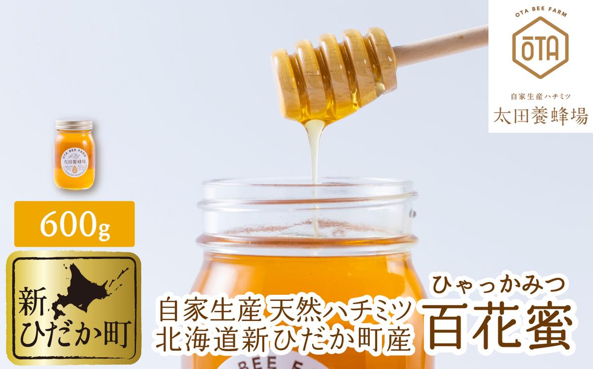 自家製 国産 天然 ハチミツ 600g 北海道産 はちみつ 百花蜜 蜂蜜 北海道 新ひだか町