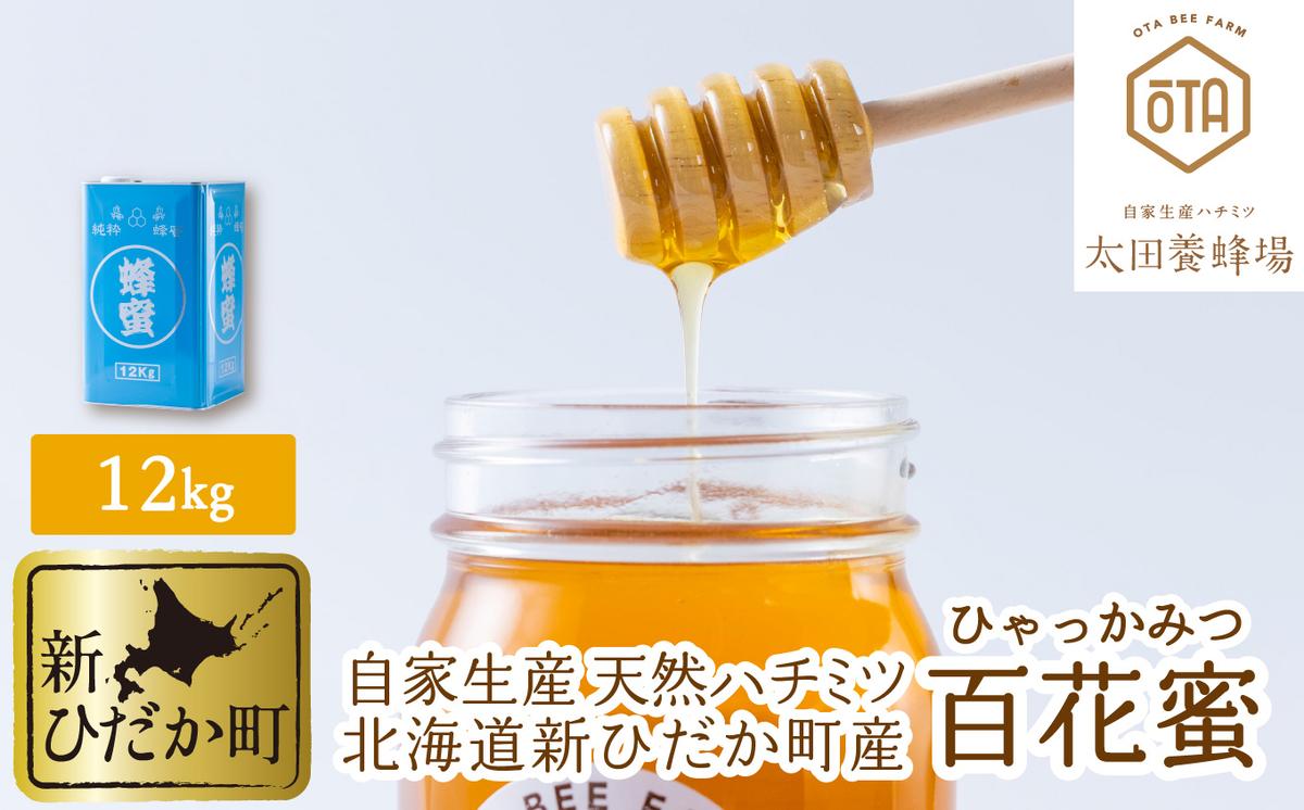 自家製 国産 天然 ハチミツ 12kg 北海道産はちみつ 百花蜜 蜂蜜 北海道 新ひだか町