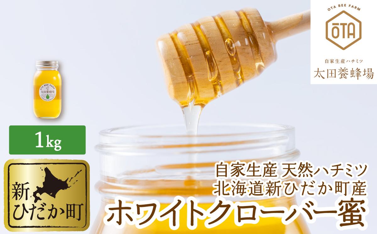 自家製 国産 天然 ハチミツ 1kg 北海道産はちみつ ホワイトクローバー蜜 蜂蜜 北海道 新ひだか町