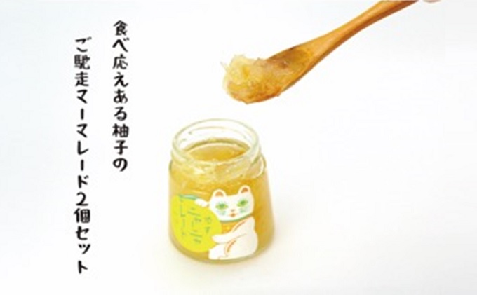 【岡山県高梁市】ニャンとも可愛い柚子マーマレード【柚子ニャーニャレード2個セット】 ジャム