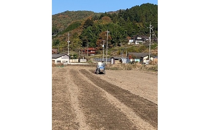 岡山県高梁市のふるさと納税 あかしろ農園の もち麦 約8kg（ キラリモチ 約1kg×8パック）