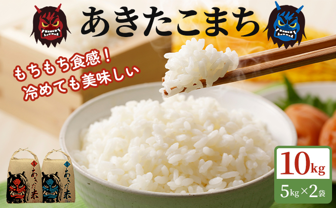 定期便 令和5年産 あきたこまち 精米 10kg（5kg×2袋）3ヶ月連続発送（合計 30kg）秋田県 男鹿市|有限会社 鎌仁商店