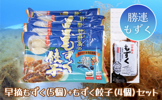 【沖縄県うるま市】早摘みもずく(5袋)&もずく餃子(12個入×4袋)セット【勝連漁業協同組合】