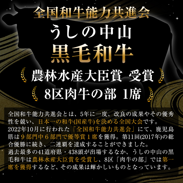 鹿児島県志布志市のふるさと納税 【ギフト対応】＜A5等級＞黒毛和牛 巨匠の至福のサーロインステーキ 計800g(200g×4枚) wa24-005