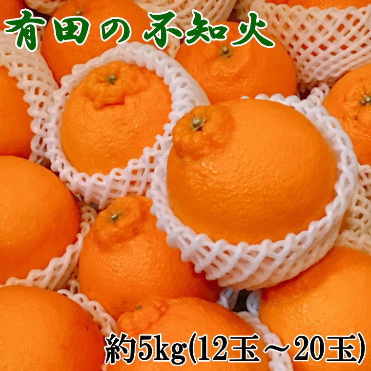 【濃厚】有田の不知火約5kg（12玉～20玉）
※2025年2月中旬～3月上旬頃に順次発送予定