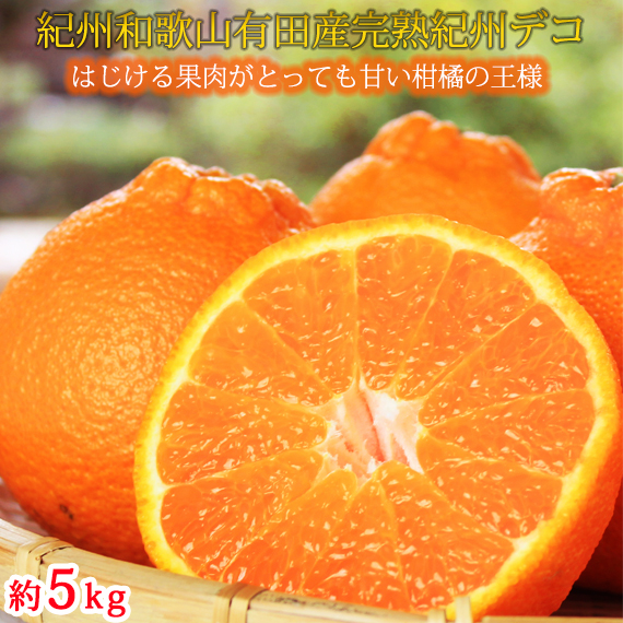 ya̎Rlzʓvv@nIBfR(sm) 5kg b k sm fR| ݂ t[c ʕ { s\ łۂ Y Yn n ꋉi  l 2026N2{`3{ɏ\