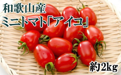 【6月出荷分】和歌山産ミニトマト「アイコトマト」約2kg（S・Mサイズおまかせ） ※北海道・沖縄・離島への配送不可 ※2025年6月上旬～6月下旬頃に順次発送予定