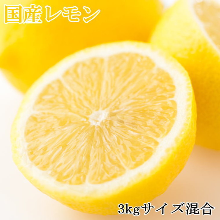 産直】和歌山産レモン約3kg（サイズ混合） ※2025年3月中旬～5月