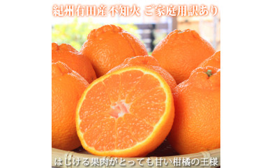 【和歌山県美浜町】【ご家庭用訳有り】紀州有田産不知火(しらぬひ) 約8.5kg ※2026年2月中旬〜3月中旬頃に順次発送予定