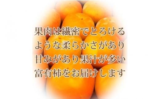 和歌山県美浜町のふるさと納税 【ご家庭用わけあり】和歌山秋の味覚 富有柿 約7.5kg ※2025年11月上旬～12月上旬頃に順次発送予定