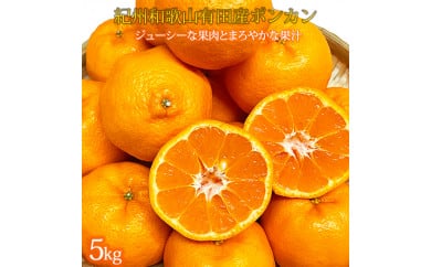 ya̎RlzIBa̎RLcY|J 5kg 2026N2{?2{ɏ\