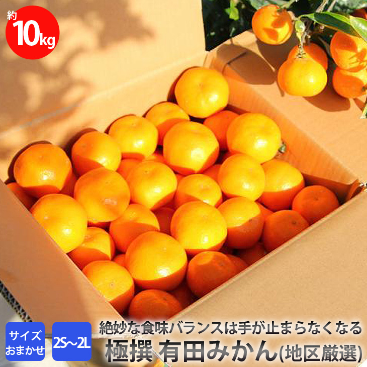 極撰 有田みかん(地区厳選)10キロ サイズおまかせ(2S〜2L) ≪みかん 蜜柑 果実 青果 国産 贈答 ギフト 有田産≫ ※2021年11月下旬頃〜2022年1月下旬頃より順次発送予定