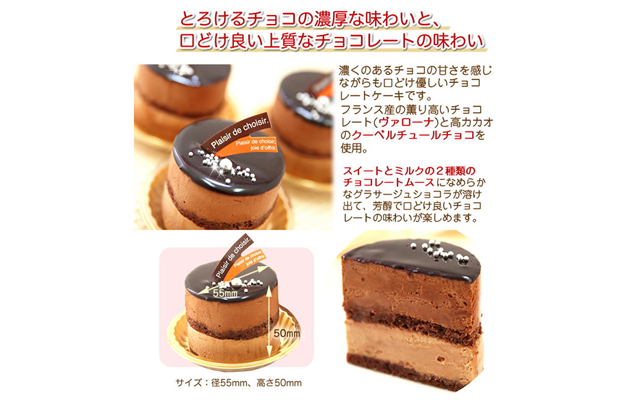 北海道新ひだか町のふるさと納税 リッチな味わい♪チョコレートケーキ『とろける生ショコラ』　北海道・新ひだか町のオリジナルケーキ