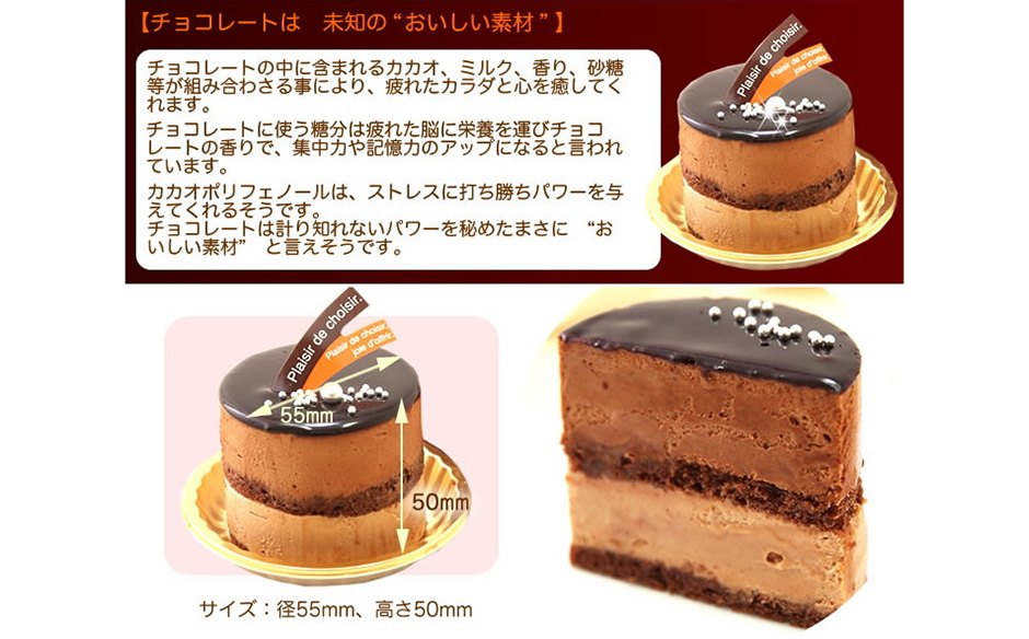 北海道新ひだか町のふるさと納税 リッチな味わい♪チョコレートケーキ『とろける生ショコラ』　北海道・新ひだか町のオリジナルケーキ