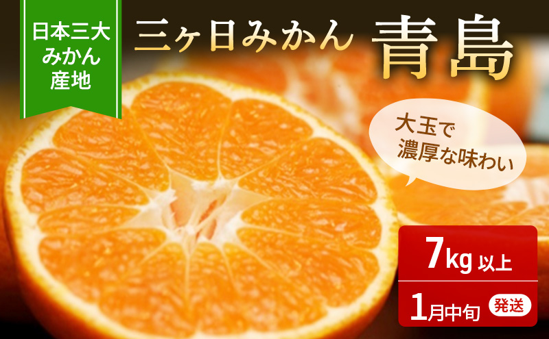 2023年1月中旬頃より順次発送】三ヶ日みかん 青島 7kg以上【配送不可：離島】 / 静岡県浜松市 | セゾンのふるさと納税