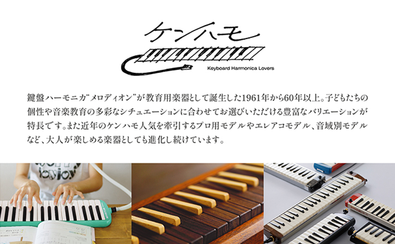 SUZUKI スズキ 鍵盤ハーモニカ メロディオン M-37C - 鍵盤楽器