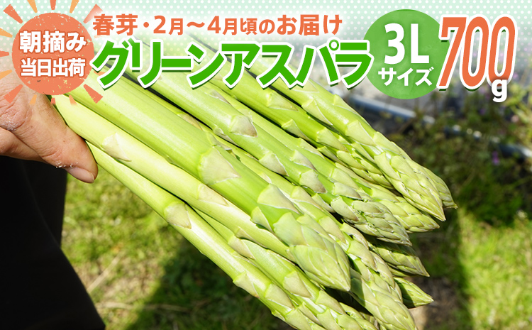 春芽アスパラ500グラム（2L〜3L） - 野菜