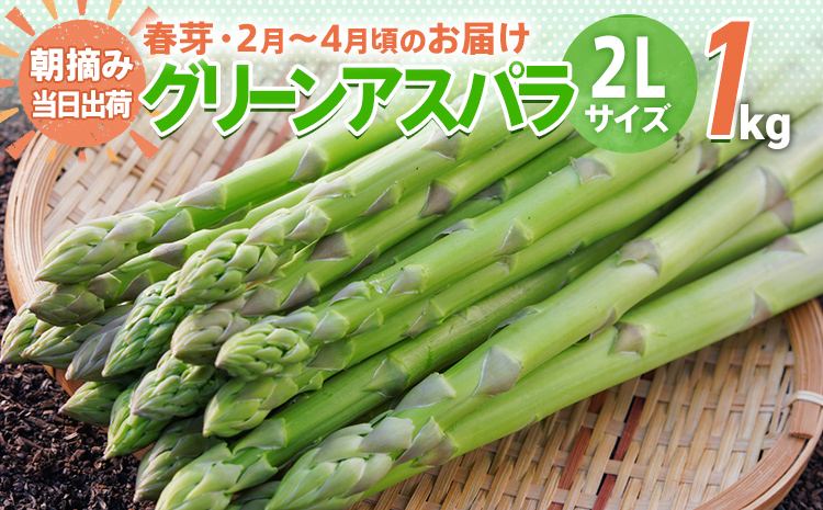 春芽アスパラ500グラム（Lサイズ） ブランド雑貨総合 - 野菜