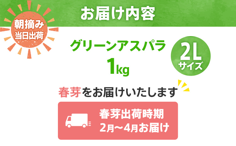 【先行予約】朝採り直送　春芽グリーンアスパラガス（2L）１.2kg　BT02|IKSKニコニコ農園