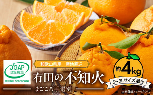 【和歌山県有田郡湯浅町】ZE6177n_【2026年先行予約】和歌山県産 有田の 不知火(しらぬひ) 4kg (S〜3Lサイズ混合)【まごころ手選別】
