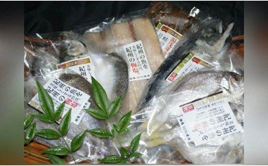 ZD6177_和歌山の近海でとれた新鮮魚の梅塩干物と湯浅醤油みりん干し6品種10尾入りの詰め合わせ
