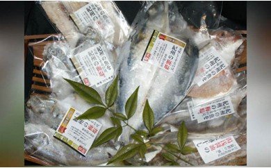 ZD6178_和歌山の近海でとれた新鮮魚の鯛入り梅塩干物と湯浅醤油みりん干し7品種11尾入りの詰め合わせ