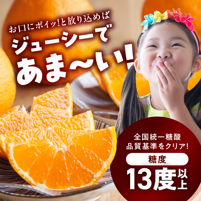 デコポン　秀品5kg デコポン 光センサー選果 送料無料 秀品約5kg DEKOPON 熊本県産