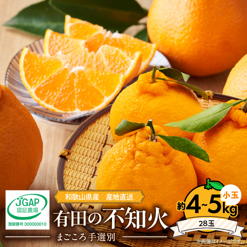 ZE6101_【先行予約】和歌山県産有田の不知日（しらぬひ）  小玉 28玉（約4kg～5kg）【まごころ手選別】