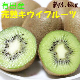ZD6214_【先行予約】有田でとれた 完熟 キウイフルーツ 3.6kg (M～3Lサイズおまかせ)