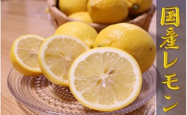 ZN6008n_【先行予約】和歌山県有田産レモン 3kg