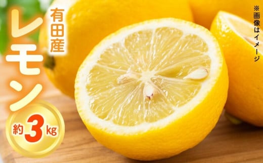 ya̎RLcS󒬁zZN6008n_ y2026Ns\za̎R LcY  3kgyY  k t[c a̎Rz