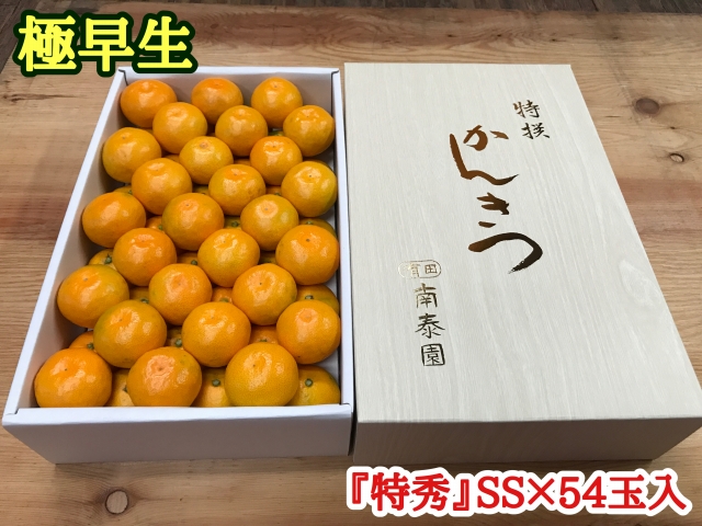 ZF6003n_極早生・有田みかん 化粧箱 約3kg『特秀』SSサイズ54玉入
