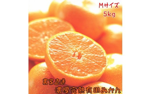 AB6323_【先行予約】農家直送！濃厚完熟有田みかん　Ｍサイズ　５kg