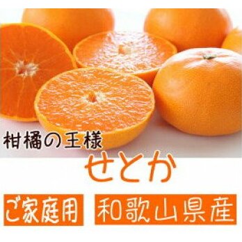 AB6303_ys\zk̉l a̎RLc̔ZƂy󂠂 ƒpz4`5kg